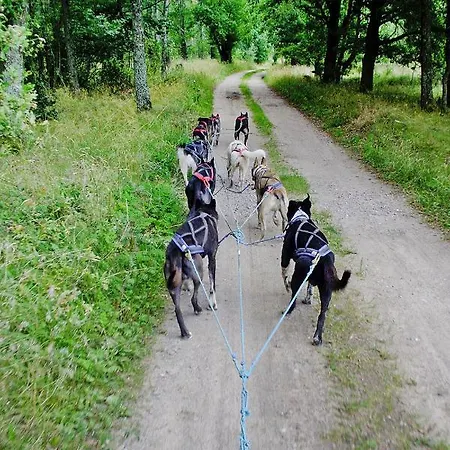 In The Countryside, Biskupice Biały Bór