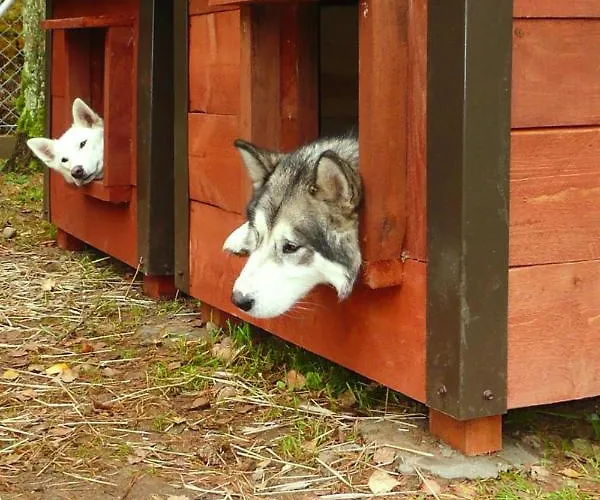 Appartamento In The Countryside, Biskupice